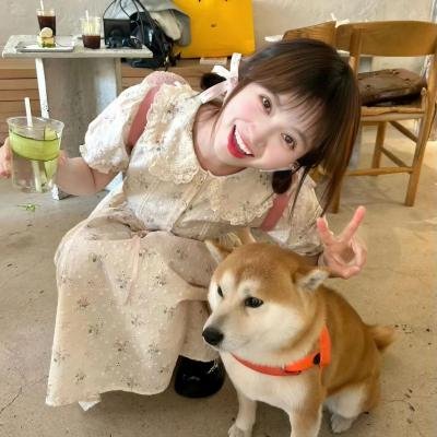 嗨！营业中第四季