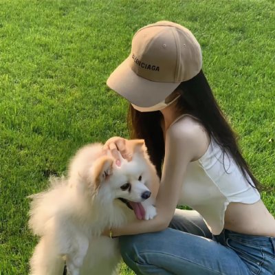 我的朋友是萌鲨